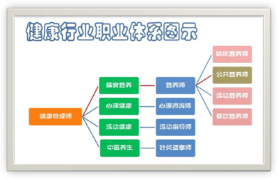 健康管理师与营养师的核心区别及营养健康管理指南